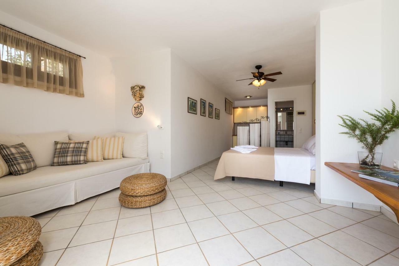 Apartament Andros Belle Vue Kipri  Zewnętrze zdjęcie